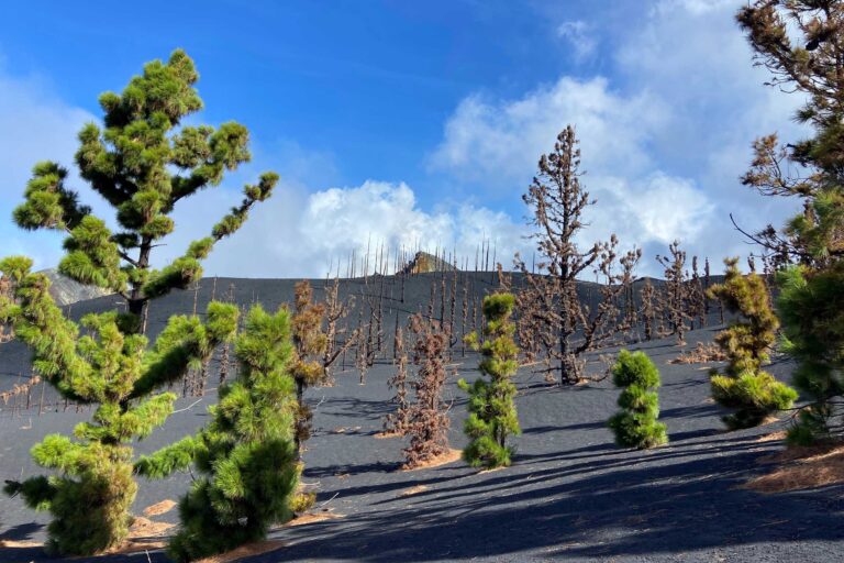 International Conference: TAJOGAITE ERUPTION