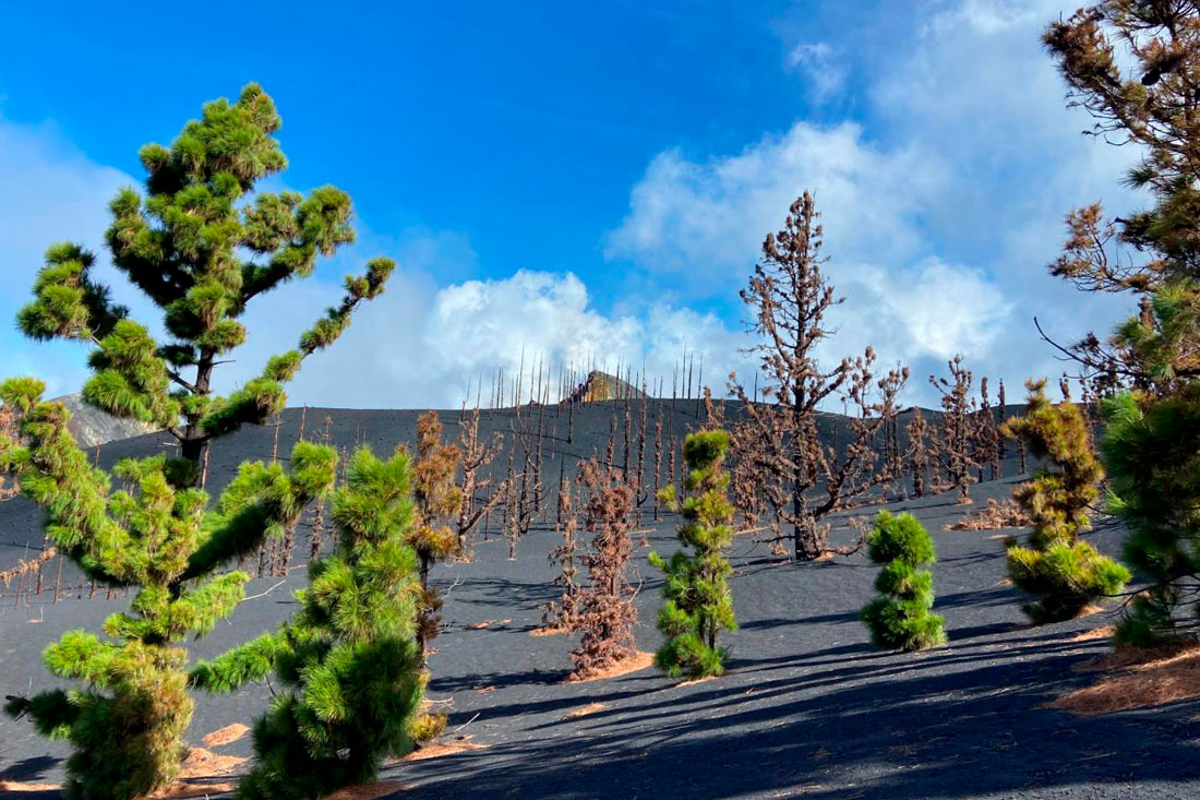 Photo: María Guerrero Campos