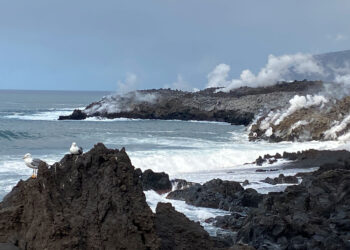 Visita al delta lávico, La Palma