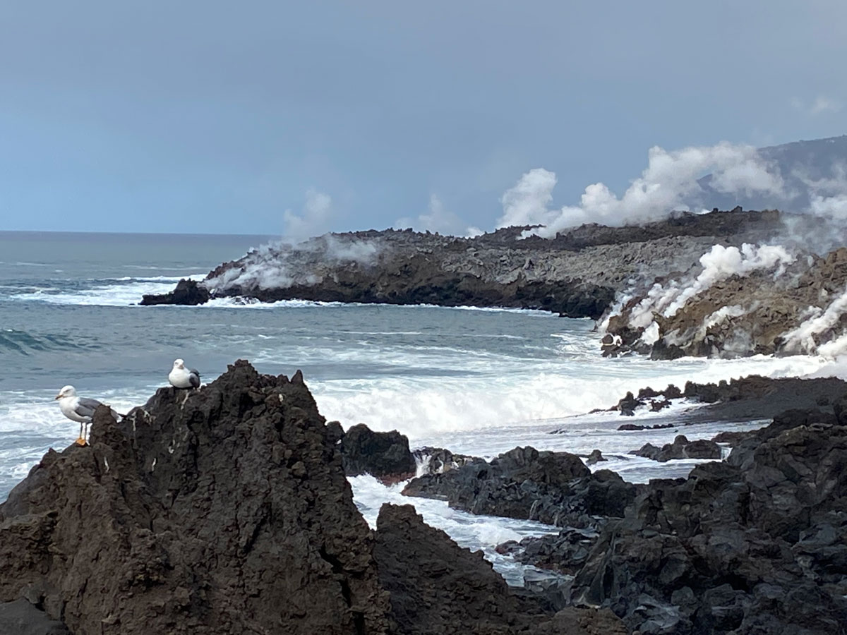 Visita al delta lávico, La Palma